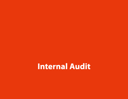   Internal Audit