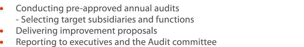       Conducting pre-approved annual audits    - selecting target subsidiaries and functions    Delivering improvemen   