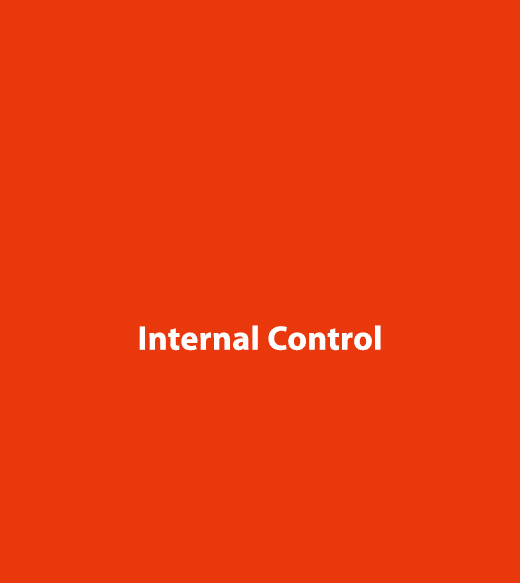  Internal Control