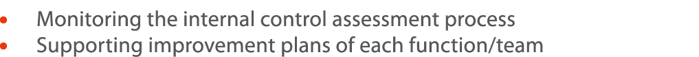     Monitoring the internal control assessment process    Supporting improvement plans of each function team