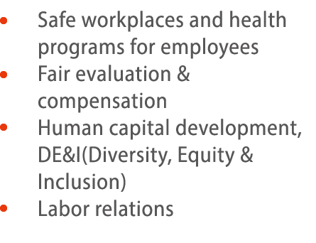      Safe workplaces and health programs for employees     Fair evaluation & compensation     Human capital developme   
