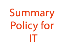 Summary Policy for IT