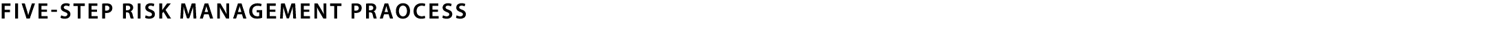 FIVE-STEP Risk Management Praocess