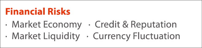 Financial Risks   Market Economy    Credit & Reputation   Market Liquidity    Currency Fluctuation