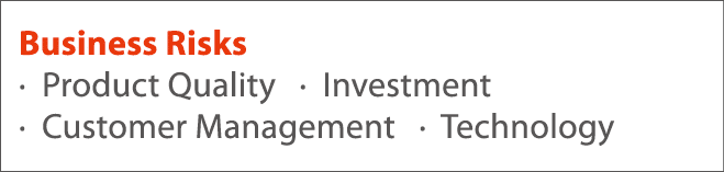 Business Risks   Product Quality    Investment   Customer Management    Technology 