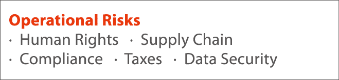 Operational Risks   Human Rights    Supply Chain   Compliance    Taxes    Data Security