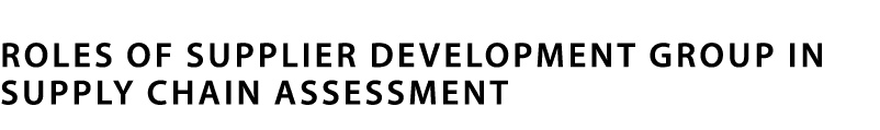 Roles of Supplier Development Group in Supply Chain Assessment
