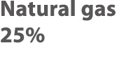 Natural gas 25%