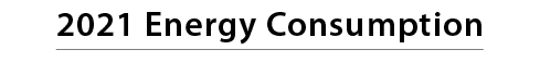 2021 Energy Consumption 