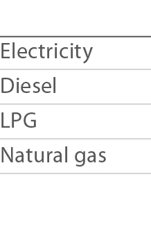  Electricity Diesel LPG Natural gas 