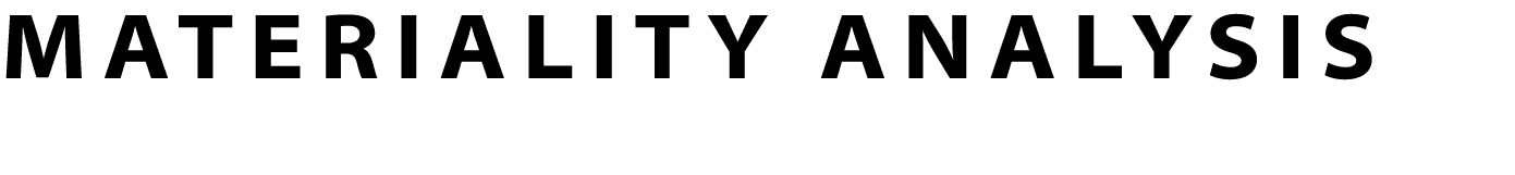 MATERIALITY ANALYSIS 