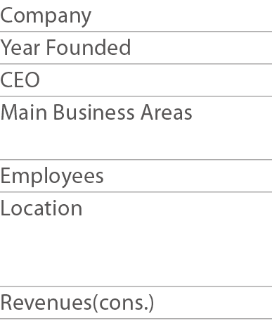 Company Year Founded     CEO Main Business Areas  Employees Location   Revenues(cons )