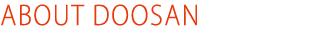 ABOUT DOOSAN 
