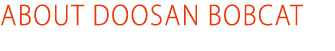 ABOUT DOOSAN BOBCAT 