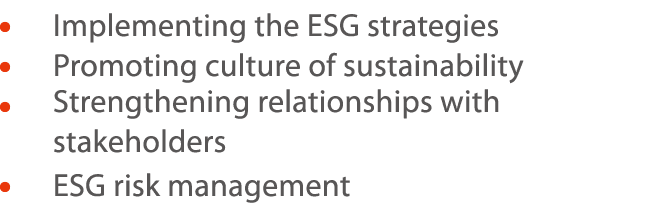      Implementing the ESG strategies     Promoting culture of sustainability     Strengthening relationships with sta   