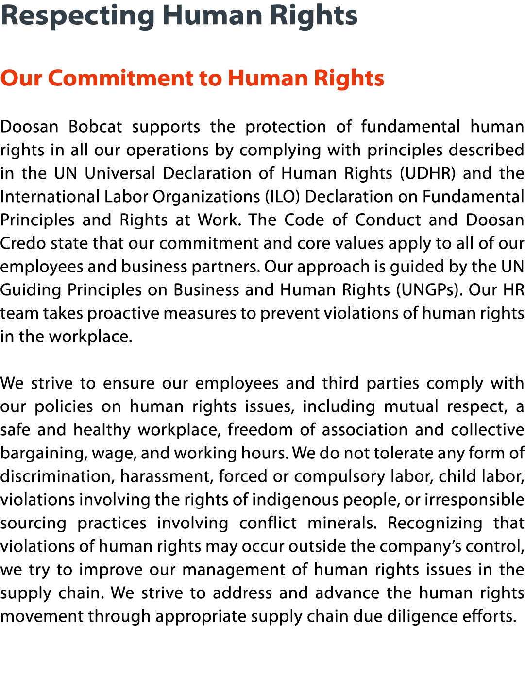 Respecting Human Rights  Our Commitment to Human Rights Doosan Bobcat supports the protection of fundamental human ri   