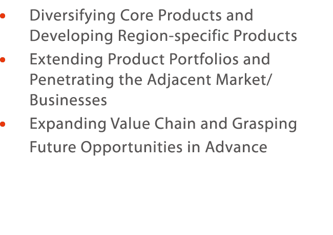      Diversifying Core Products and Developing Region-specific Products     Extending Product Portfolios and Penetrat   
