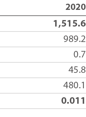 2020 1,515 6    989 2       0 7     45 8   480 1 0 011 