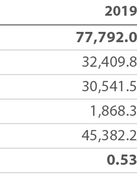 2019 77,792 0 32,409 8 30,541 5   1,868 3 45,382 2 0 53 