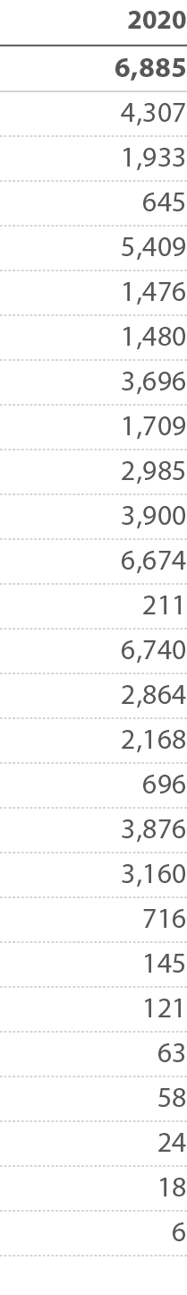 2020  6,885      4,307      1,933        645      5,409      1,476      1,480      3,696      1,709      2,985      3   