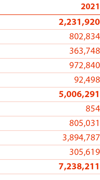 2021 2,231,920 802,834 363,748 972,840 92,498 5,006,291 854 805,031 3,894,787 305,619 7,238,211 