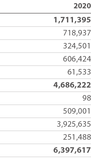 2020 1,711,395 718,937 324,501 606,424 61,533 4,686,222 98 509,001 3,925,635 251,488 6,397,617 