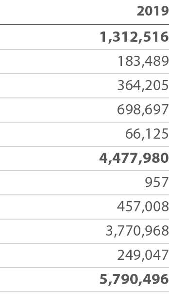 2019 1,312,516 183,489 364,205 698,697 66,125 4,477,980 957 457,008 3,770,968 249,047 5,790,496 