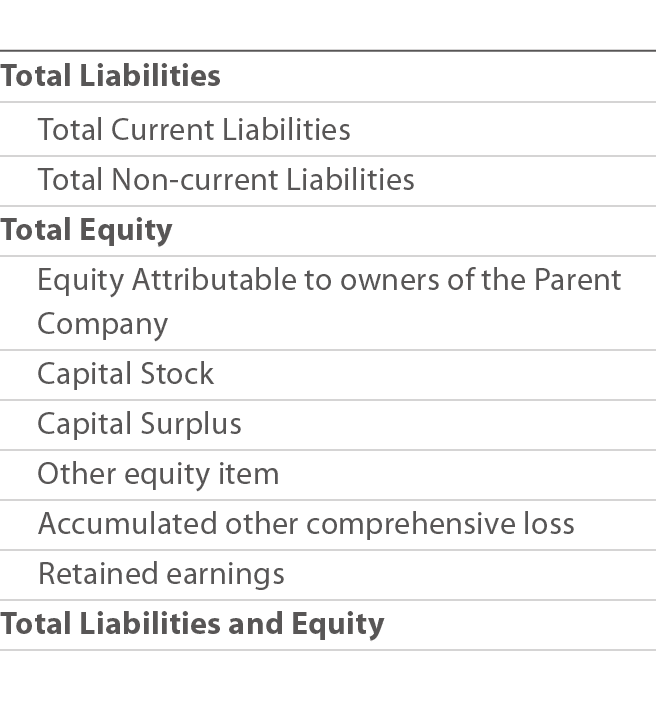  Total Liabilities Total Current Liabilities Total Non-current Liabilities Total Equity  Equity Attributable to owner   
