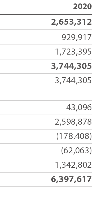 2020 2,653,312 929,917 1,723,395 3,744,305 3,744,305 43,096 2,598,878 (178,408) (62,063) 1,342,802 6,397,617 