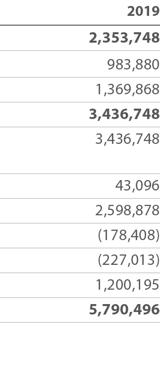 2019 2,353,748 983,880 1,369,868 3,436,748 3,436,748 43,096 2,598,878 (178,408) (227,013) 1,200,195 5,790,496 