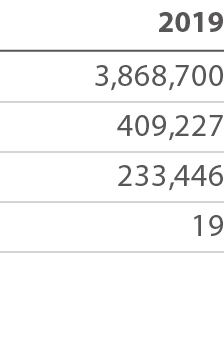 2019 3,868,700 409,227 233,446 19 
