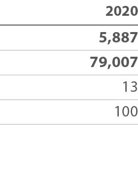 2020 5,887 79,007 13 100 