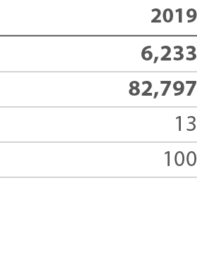 2019 6,233 82,797 13 100 