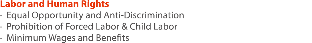 Labor and Human Rights   Equal Opportunity and Anti-Discrimination   Prohibition of Forced Labor & Child Labor   Mini   
