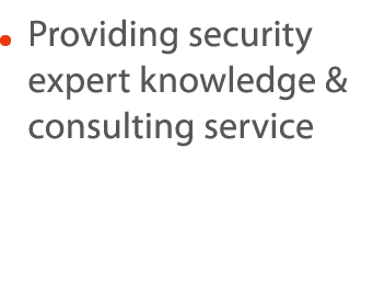    Providing security expert knowledge & consulting service