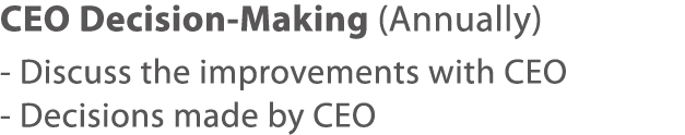 CEO Decision-Making (Annually) - Discuss the improvements with CEO - Decisions made by CEO