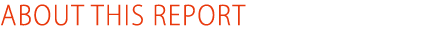 About this report 