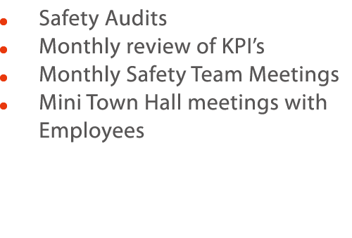     Safety Audits    Monthly review of KPI s     Monthly Safety Team Meetings     Mini Town Hall meetings with Employ   