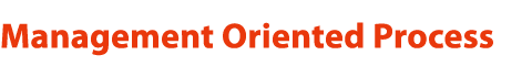 Management Oriented Process