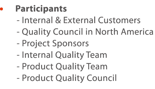       Participants - Internal & External Customers - Quality Council in North America  - Project Sponsors  - Internal   