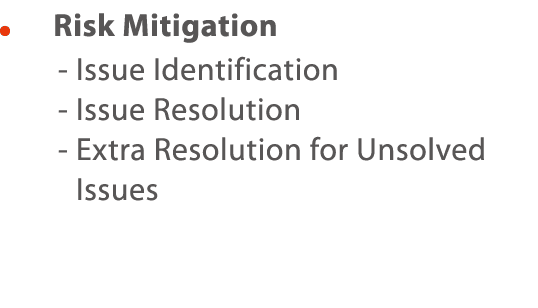     Risk Mitigation -  Issue Identification - Issue Resolution -  Extra Resolution for Unsolved Issues