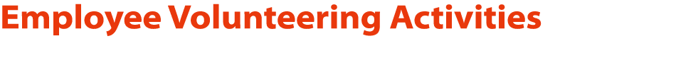Employee Volunteering Activities 
