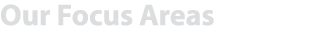 Our Focus Areas 