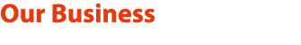 Our Business