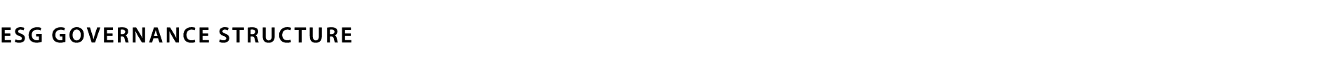 ESG Governance Structure