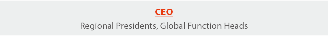 CEO Regional Presidents, Global Function Heads