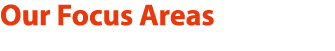 Our Focus Areas 