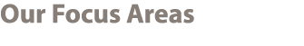 Our Focus Areas 