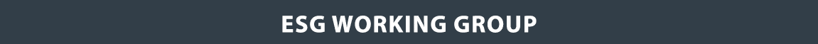 ESG Working Group 