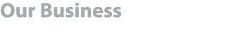 Our Business